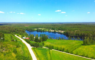 Pihlajavesi järvilehto