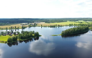 Pukisaari Vaissinjärvi, Riiho